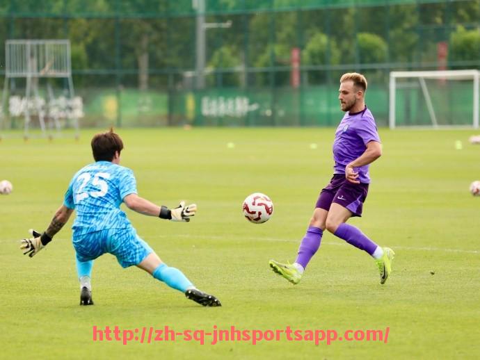 金年会app-法甲里昂球迷助威口号与球迷文化探讨