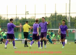 金年会app-法甲里昂比赛战略部署与战术布局分析