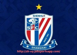 金年会app-世俱杯主办城市赛场设施管理运维机制与智能化建设进展